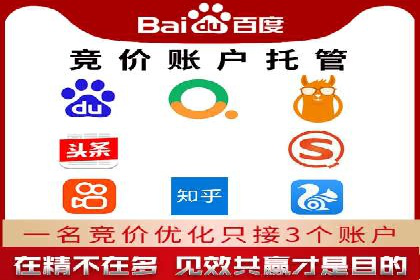 竞价SEM案例分享：行业霸主崛起之路